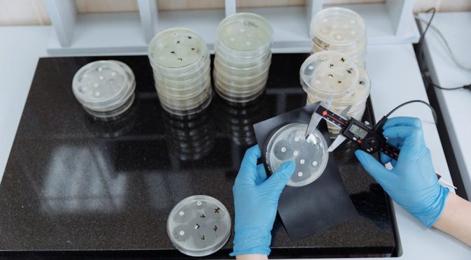 試管嬰兒香港：冷靜分析及解決方案探討