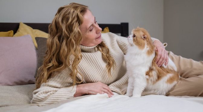 寵物善終：生命最後的哲學思考